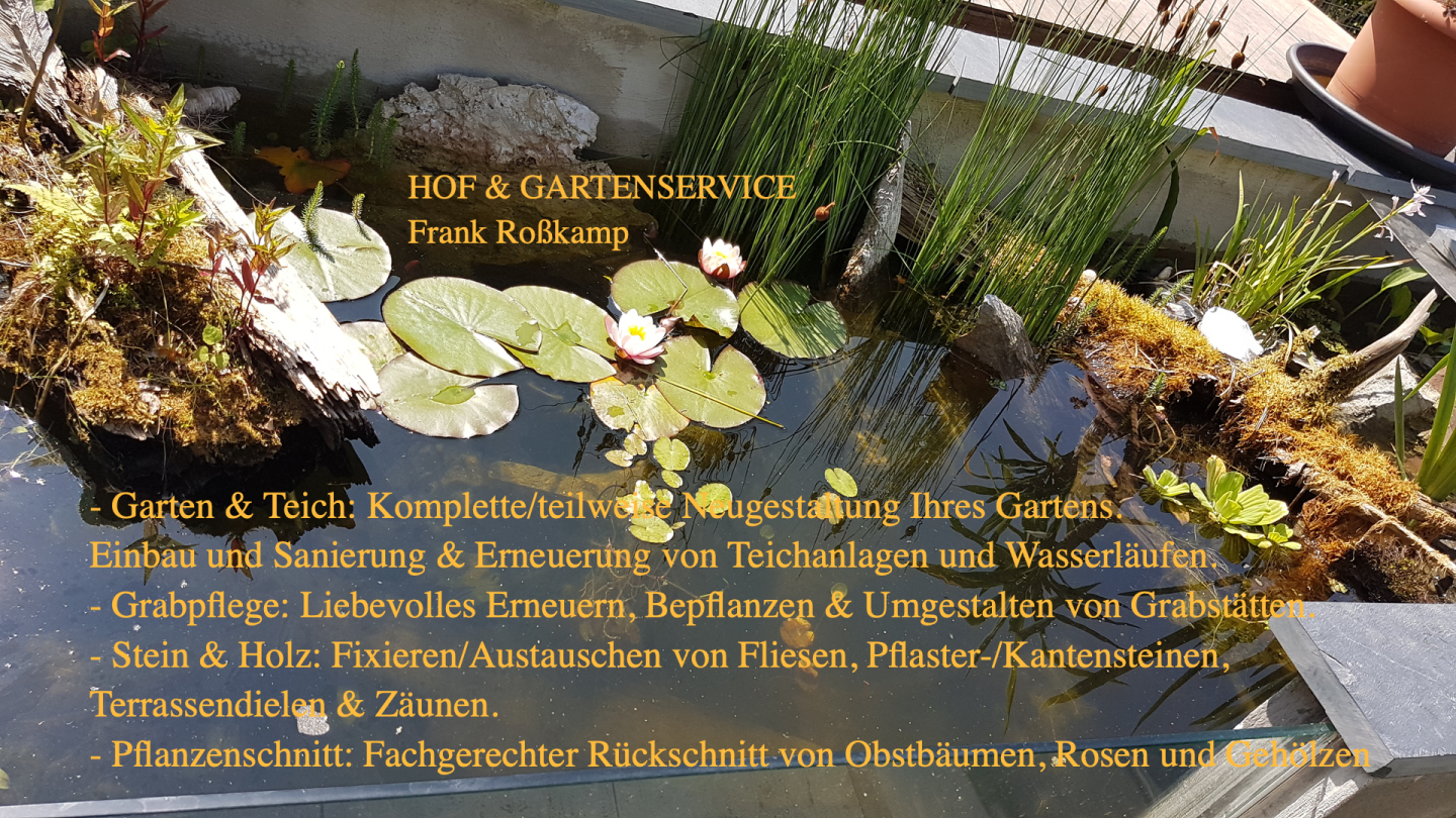 yourguide Frank Roßkamp